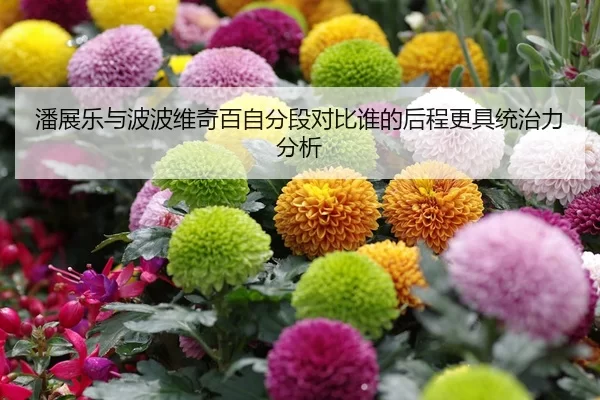 潘展乐与波波维奇百自分段对比谁的后程更具统治力分析