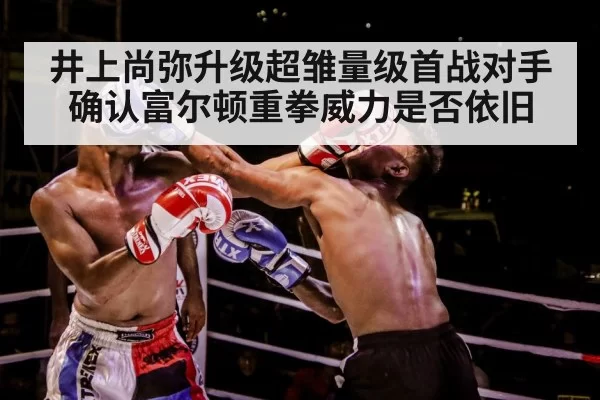 boxer training gloves